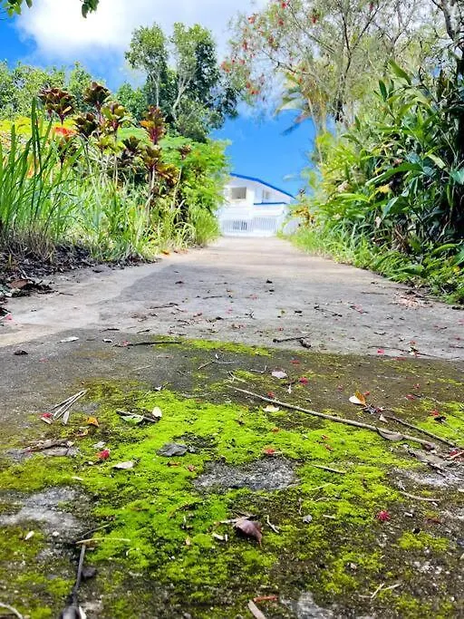 Villa Verde Luz: A Virgin Forest Yauco Puerto Rico