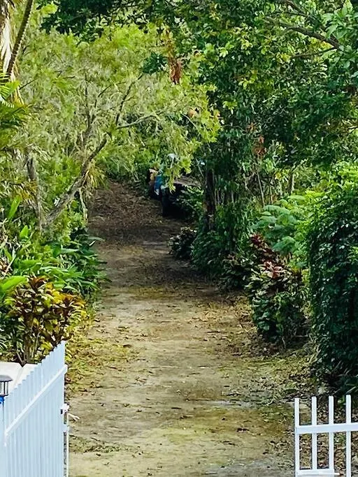Villa Verde Luz: A Virgin Forest Yauco