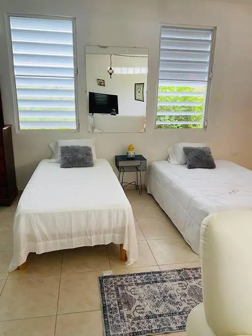 Villa Verde Luz: A Virgin Forest Yauco