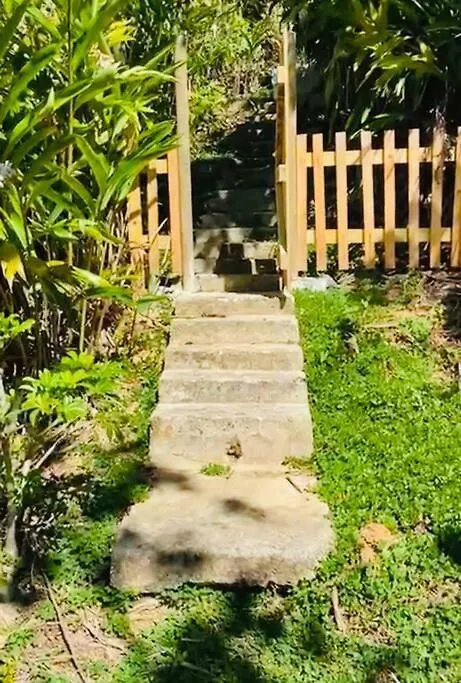 Villa Verde Luz: A Virgin Forest Yauco