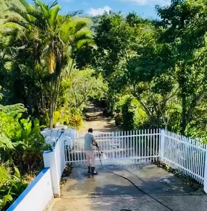 Villa Verde Luz: A Virgin Forest Yauco