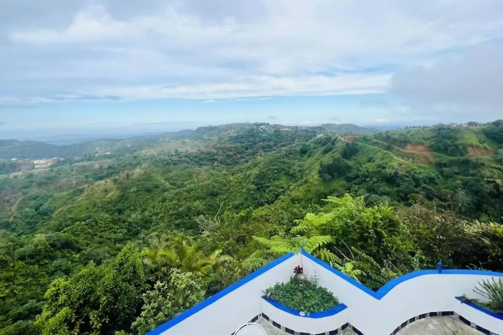 Villa Verde Luz: A Virgin Forest Yauco