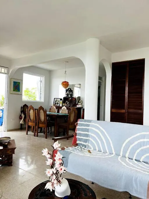 Villa Verde Luz: A Virgin Forest Yauco